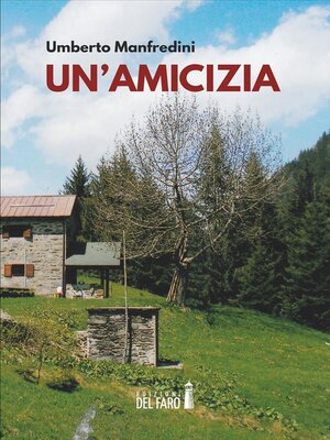 cover image of Un'amicizia